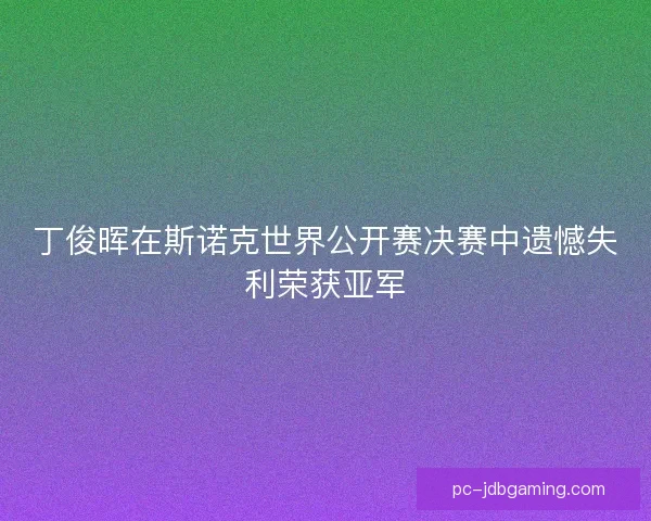 丁俊晖在斯诺克世界公开赛决赛中遗憾失利荣获亚军
